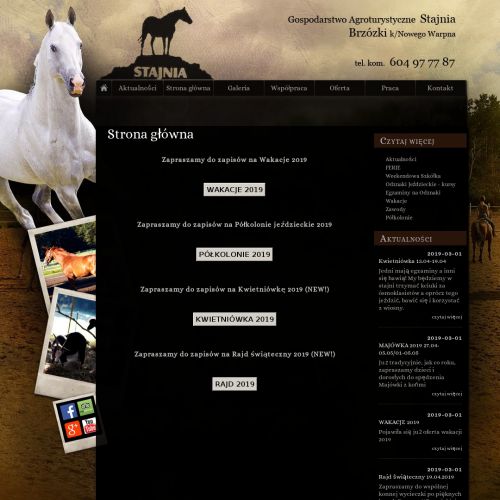 Szczecin - obozy jeździeckie