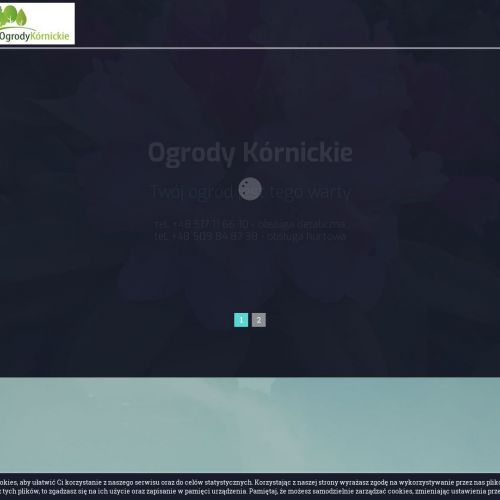 Tuje szmaragd Poznań