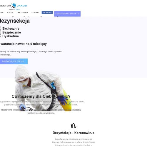 Zwalczanie karaluchów - Kalisz