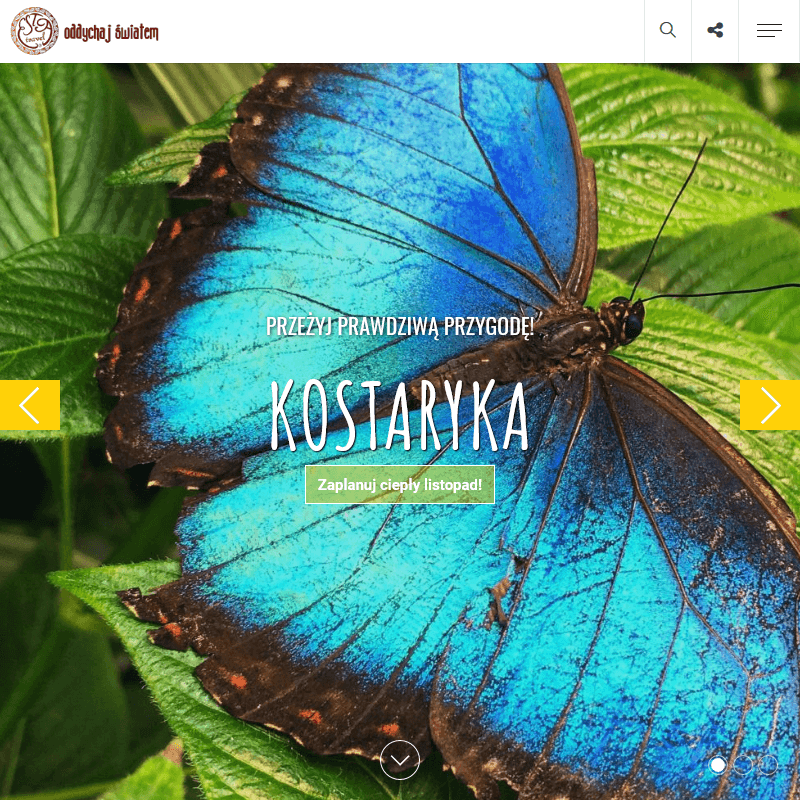 Egzotyczne wycieczki objazdowe - Poznań