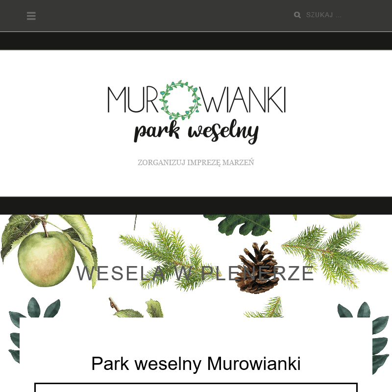 Sale na wesele łódzkie